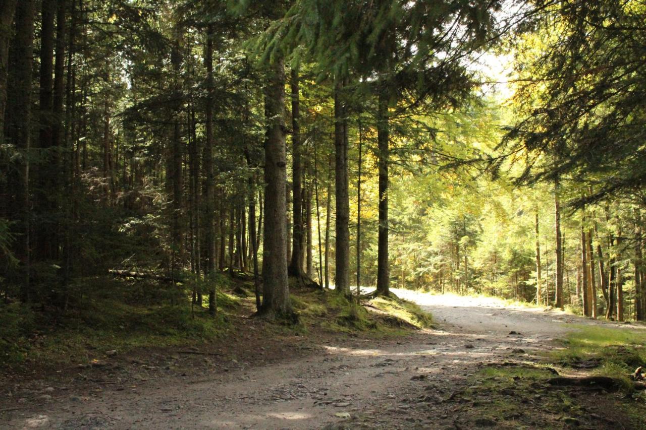 Zespol Dolina Bialego - Pensjonat Telimena Zakopane Exterior foto